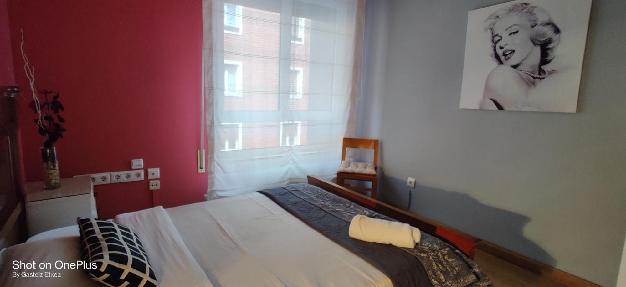 Gasteiz Etxea L Lägenhet Vitoria-Gasteiz Exteriör bild