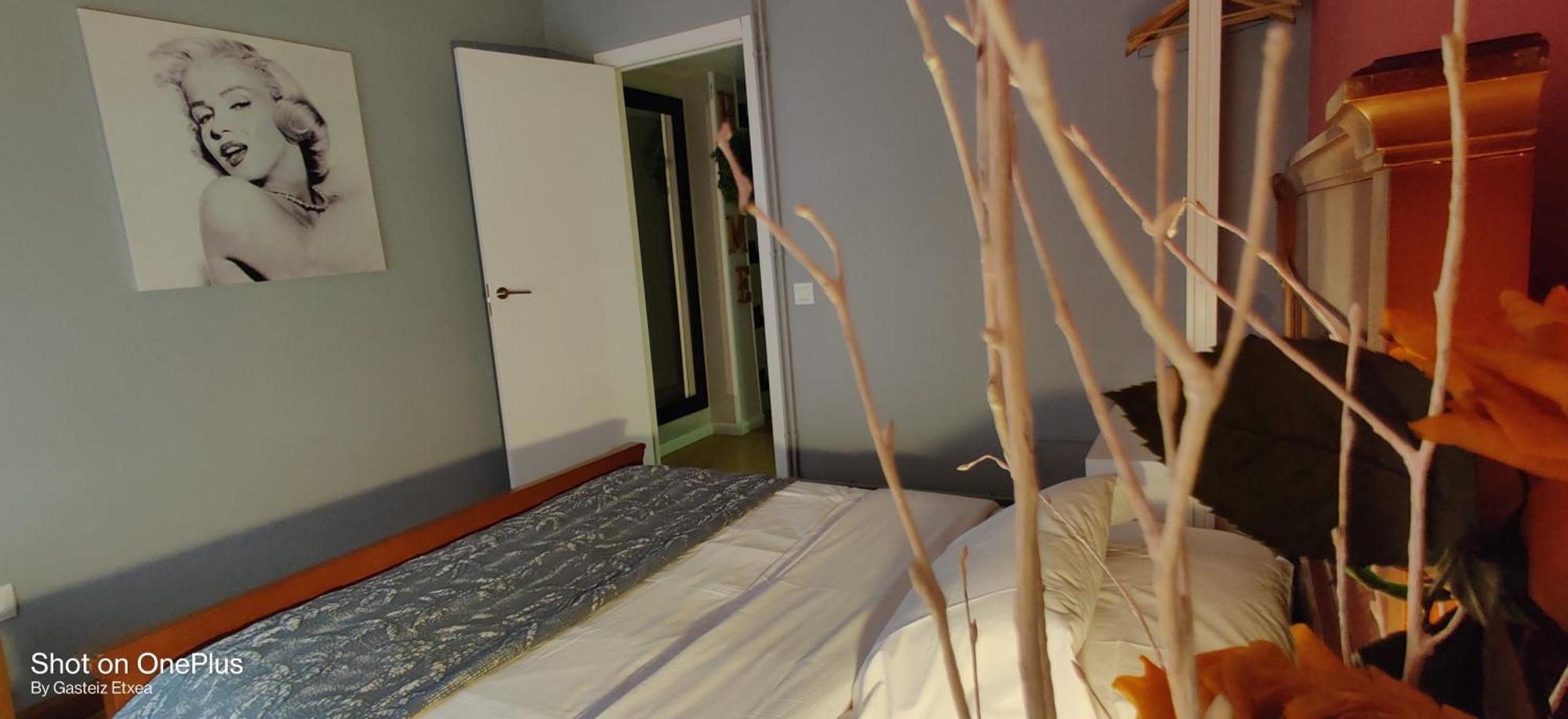 Gasteiz Etxea L Lägenhet Vitoria-Gasteiz Exteriör bild